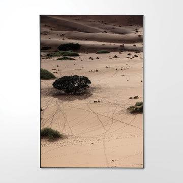 Tracks_Shade